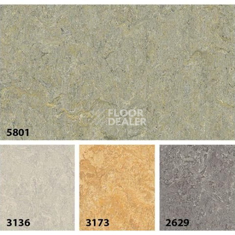 Forbo Marmoleum Decibel on Order 580135 river bank фото 2 | FLOORDEALER